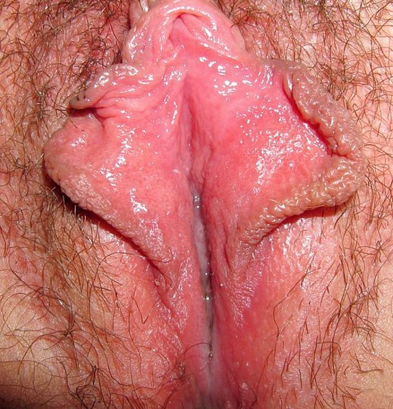 Hot Wet Lips