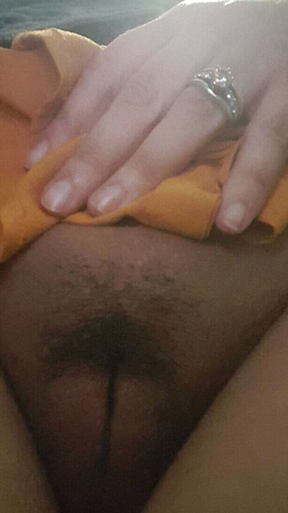 The Perfect Shaped Pussy