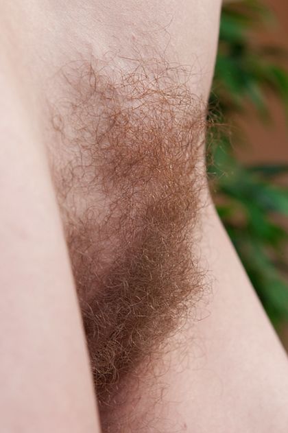 Hairy Pussy Free Pictures