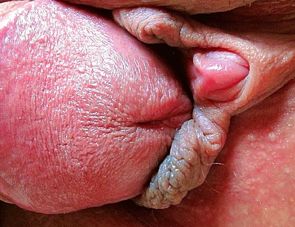 Closeup Penis In Pussy